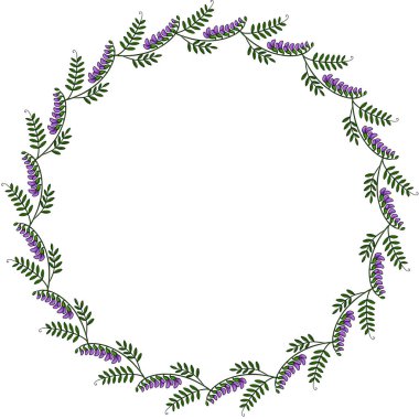 Zarif vektör dairesel çerçeve tasarımı, mor tomurcuklu vetch çiçekleri ve yeşil yapraklardan oluşan hassas bir düzenleme, davetiyeler, kartlar veya dekoratif unsurlar için mükemmel..