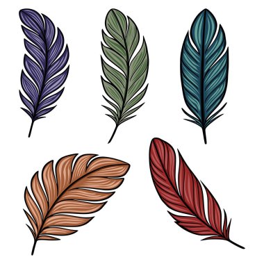 Çeşitli renklerde beş vektör biçimlendirilmiş tüy koleksiyonu: koyu mor, zeytin yeşili, deniz mavisi, terakotta kırmızısı ve bordo kırmızısı, her biri detaylı çizgi ve gradyan gölgeleme ile beyaz üzerine izole edilmiş..