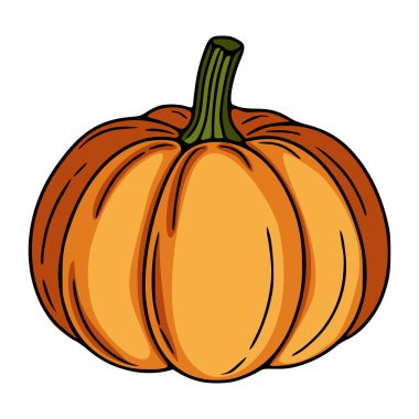 Detaylı, elle çizilmiş, pürüzsüz turuncu derisini ve tanımlanmış bölümlerini gösteren, temiz beyaz bir arkaplana karşı kurulmuş, canlı, olgun bir balkabağının temsili bir temsili..