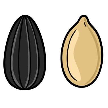 Kabuklu ve kabuksuz bir ayçiçeği tohumunun vektör çizimi, siyah çizgileri ve zıt bej ve siyah renkleri olan ayrıntılı bir çizgi film stili sergiliyor.