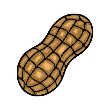 Kabuğunda tek bir yer fıstığının detaylı bir tasviri, beyaz bir arka planda izole edilmiş kahverengi ve bej renkli eşsiz bir desen sergiliyor..