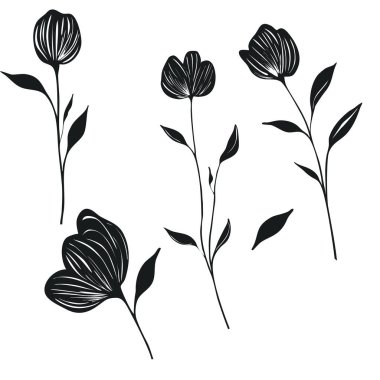 Beyaz arka planda izole edilmiş ve tasarım projeleri için mükemmel olan doğrusal dokuları olan beş siyah çiçek elementinin zarif vektör çizimi.