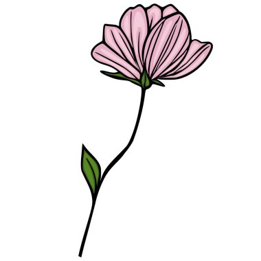Tek bir yaprak ve ince bir gövde ile narin pembe vektör çiçek çizimi, minimalist botanik bir tasarım sergiliyor..