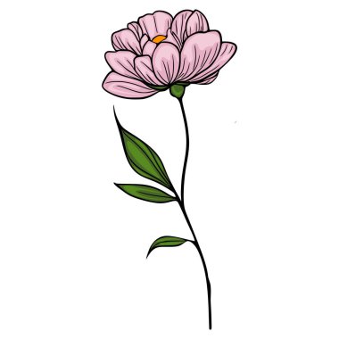 Yeşil yapraklı tek bir pembe şakayık çiçeğinin zarif vektör çizimi, çeşitli uygulamalar için mükemmel narin ve stilize bir çiçek tasarımı sergiliyor..