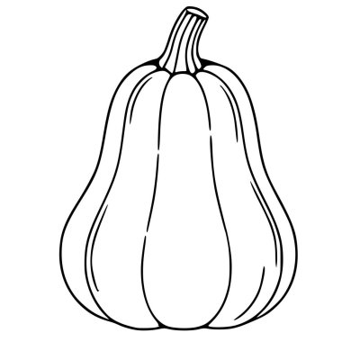 Ayrıntılı bir sapı olan tek bir tereyağlı balkabağının zarif vektör illüstrasyonu, sonbahar tasarımları için mükemmel minimalist çizgi sanatı tarzını sergiliyor..