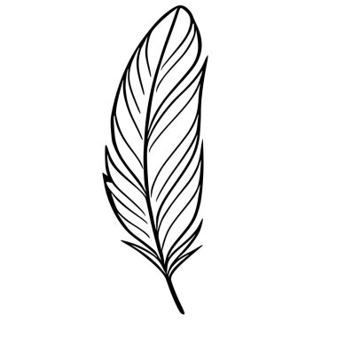 Ayrıntılı çizgi sanatı olan tek bir tüy ile paralel çizgilerle biçimlendirilmiş bir tasarım içeren zarif bir vektör çizimi, dokulu bir etki yaratır..