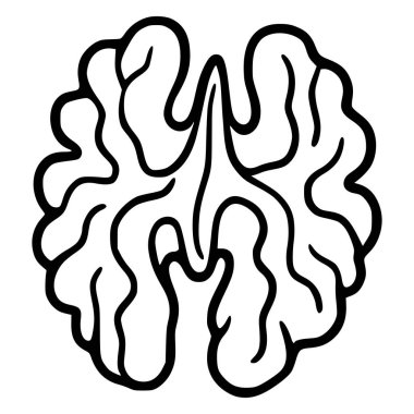 Bir ceviz yarısının soyut vektör çizimi, organik, dalgalı hatlara sahip koyu siyah çizgi sanat tarzı, tasarım unsurları veya dekoratif amaçlar için ideal.