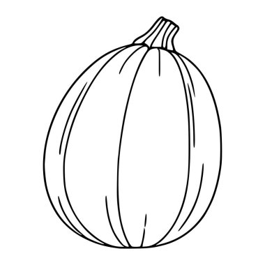 Ayrıntılı sapı olan el çizimi bir balkabağının basit bir vektör çizimi, beyaz arkaplana karşı minimalist siyah çizgi sanat tarzını sergiliyor..