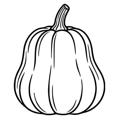 Koyu beyaz bir arka plana karşı koyu, siyah çizgili bir sanat tarzında yapılmış, titizlikle detaylandırılmış tek bir balkabağının vektör çizimi eşsiz kaburga dokusunu ve öne çıkan gövdesini gözler önüne seriyor..