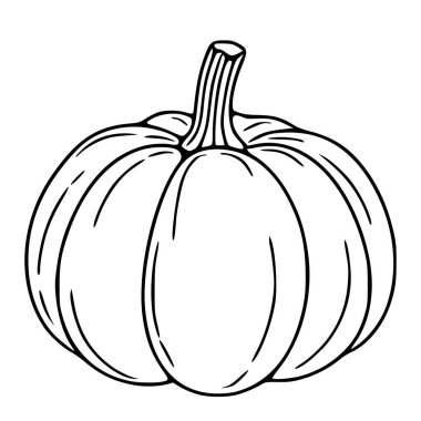 Özenle çizilmiş bir gövdesi ve tırtıklı dokusu olan tek bir balkabağının detaylı bir vektör çizimi, minimalist siyah ve beyaz çizgili sanat tarzını gösteriyor..