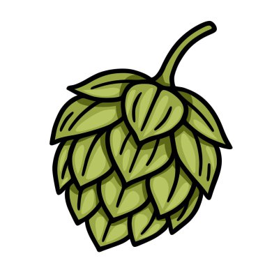 Karmaşık yaprak yapısı ve canlı yaşam yeşili renklerini gösteren tek bir koninin detaylı bir vektör çizimi, demleme veya botanik tasarımlar için mükemmeldir..