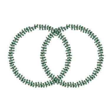 Birbirine dolanmış iki okaliptüs çelenginin zarif vektör çizimi, beyaz arka planda narin, el çizimi tarzı ve yeşil yapraklı eşsiz bir çerçeve oluşturuyor..