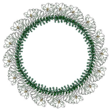 Zarif beyaz frezya çiçekleri ve yemyeşil okaliptüs yapraklarından oluşan dairesel bir çerçeve içeren zarif bir vektör çelengi tasarımı, davetiyeler, kartlar veya markalar için mükemmel..
