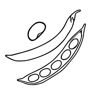 Tek bir fasulye ve açık bezelye kabuğunun detaylı bir el çizimi tasvirini içeren bir vektör illüstrasyonunda cesur hatlar ve minimalist bir estetik yer alıyor..