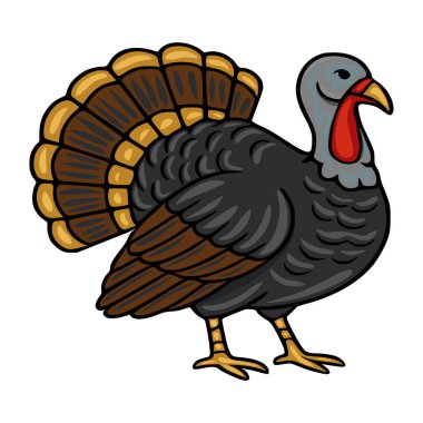 Detaylı tüyleri ve canlı renkleri olan bir hindinin Şükran Günü vektör çizimi, bayram tasarımları ve şenlikli kutlamalar için mükemmel..