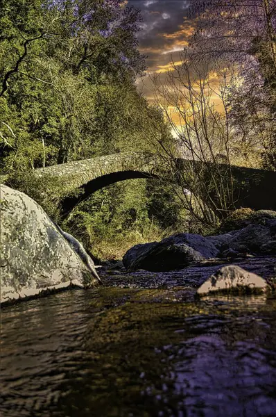 Ormanda güzel bir şelale