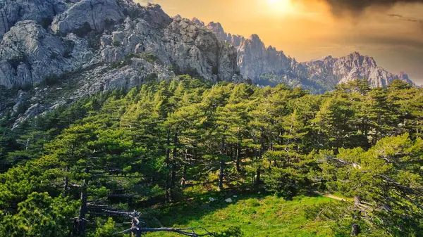 Dağların güzel manzarası, ceset.