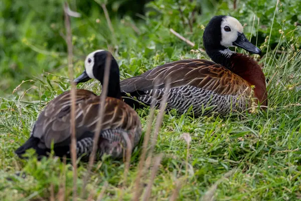 Dağların güzel manzarası