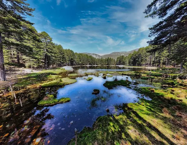 Korsika 'daki Creno Gölü