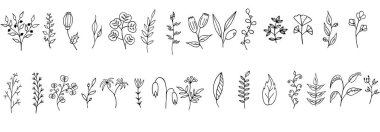 vektör çizilmiş çiçek kümesi. siyah ve beyaz çiçek illüstrasyonu.