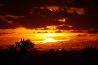 Öğleden sonra, bir tepenin tepesinden gün batımı, Hindistan cevizi ağaçlarıyla çizili ufuk çizgisi ile çekildi. Arkaplanda bulutlar oluştu..
