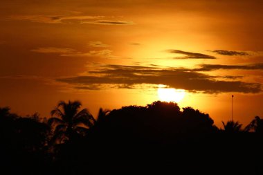 Gün batımı ufuk çizgisinin ötesinden inen bulutlarla kaplıydı. Orman görüntünün temelini oluşturuyordu.