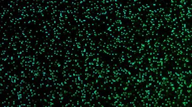 dijital ekran pikselleri canlandırılmış arkaplan yeşil ve siyah pikselli hareket arkaplanı