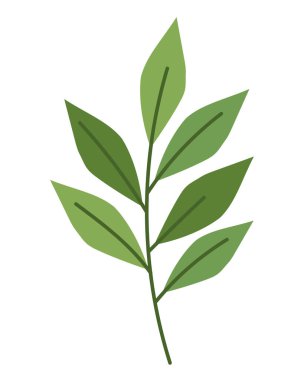 Yeşil Şube Yaprak Dekoratif Vektör İllüstrasyonu