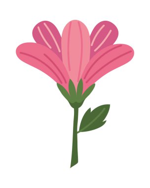 Renkli Güzel Düz Pembe Çiçek Vektörü ResimleriComment