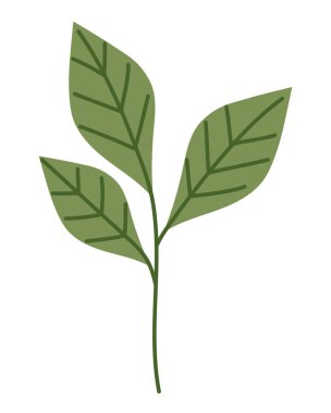 Yeşil Şube Yaprak Dekoratif Vektör İllüstrasyonu