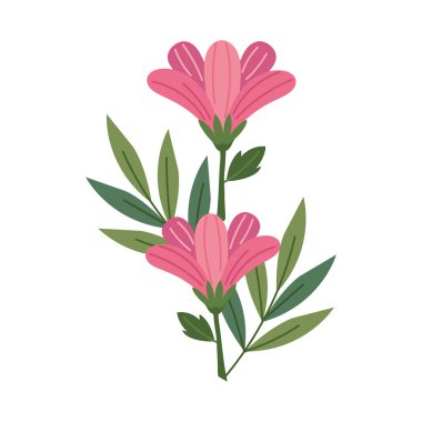 Pembe Çiçek Buketi ve Yaprak Dekoratif Vektör Çizimi