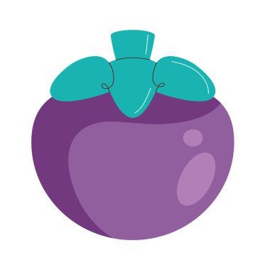 Sağlıklı Gıda Tasarımı için Tropikal Mangosteen Meyve Vektörü