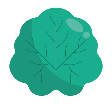 Doğal Kalıplarda Canlı Botanik Yapraklar