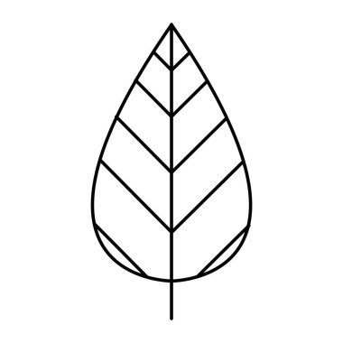 Doğal Kalıplarda Canlı Botanik Yapraklar