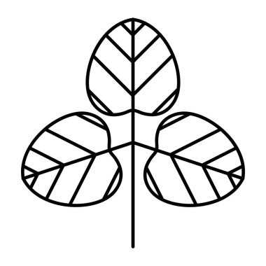 Doğal Kalıplarda Canlı Botanik Yapraklar