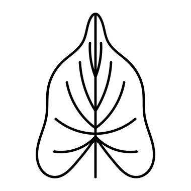 Doğal Kalıplarda Canlı Botanik Yapraklar