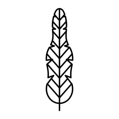 Doğal Kalıplarda Canlı Botanik Yapraklar