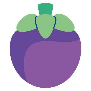 Düz Egzotik Mangosteen Meyve Çizimi