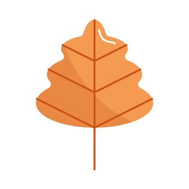 Renkli Sonbahar Yaprak Vektörü Ayarları