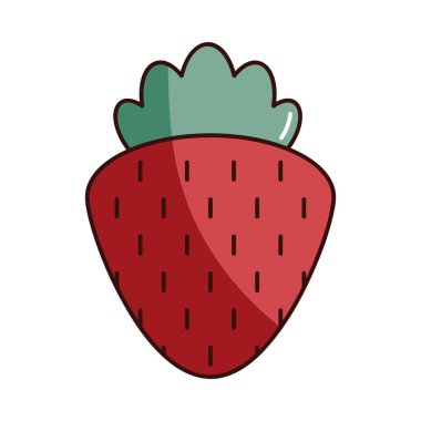 Taze Çilek Meyvesinin Vektör İllüstrasyonu