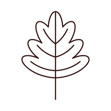 Renkli Sonbahar Yaprak Vektörü Ayarları