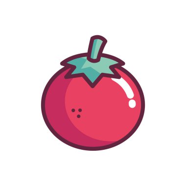 Satırlı Düz Domates Çizimi