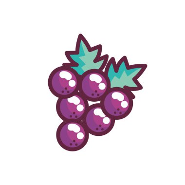 Düz Biçim Kalın Çizgi Üzüm İllüstrasyonu