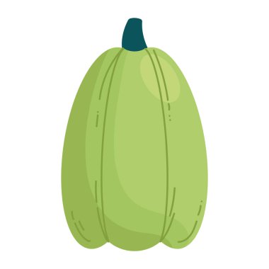 Kırsal Yeşil Balkabağı Çizimi