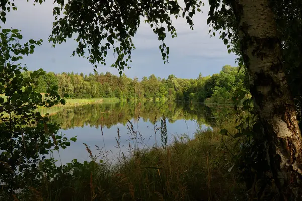 Ağaçlık bir kıyı şeridi bir huş ağacının narin dallarının altından görülebilir. Suyun ayna yüzeyi sazlıkları ve yemyeşil ağaçları yansıtır.