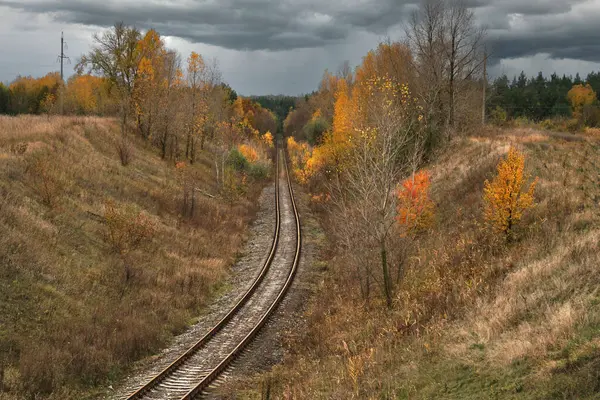    Demiryolu rayları harmonik olarak sonbahar orman bozkırlarını yarıya indirdi.                            