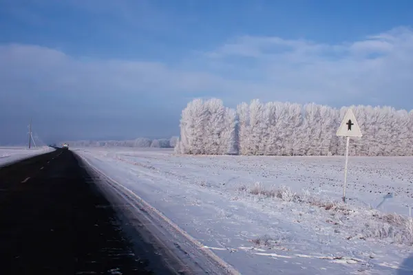 Kış, yoldaki siyah asfalt hariç her yeri don kapladı. Ufukta bir araba var.