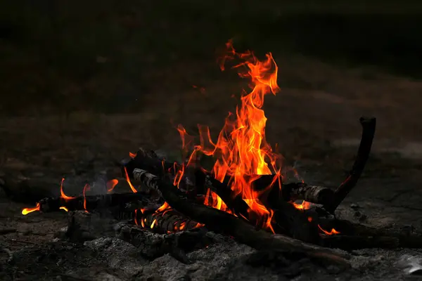 Bir yaz akşamının alacakaranlığında alev alev yanan kırmızı diller.