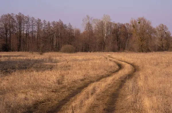 Bozkırın içinden geçen bir tarla yolu ormanın kenarına uzanan dolambaçlı bir şeride çıkar.