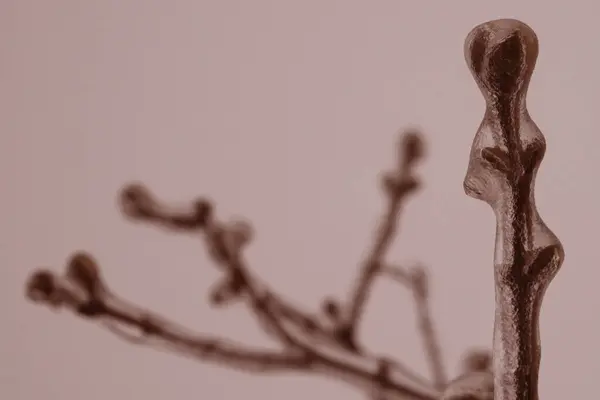 Tomurcuklu buzla kaplı dallar sanki kristal bir kabuktaymış gibi yağmurdan ve pastel renklerde dondan.